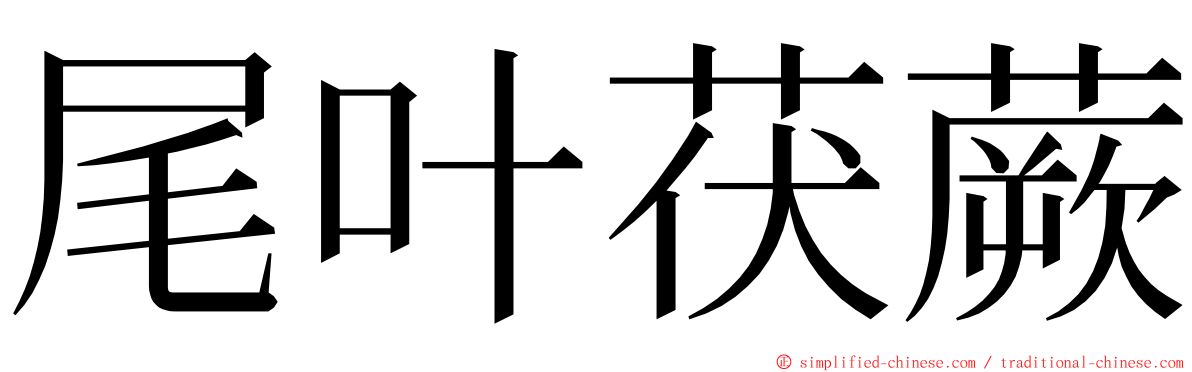 尾叶茯蕨 ming font