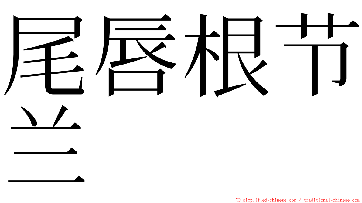 尾唇根节兰 ming font