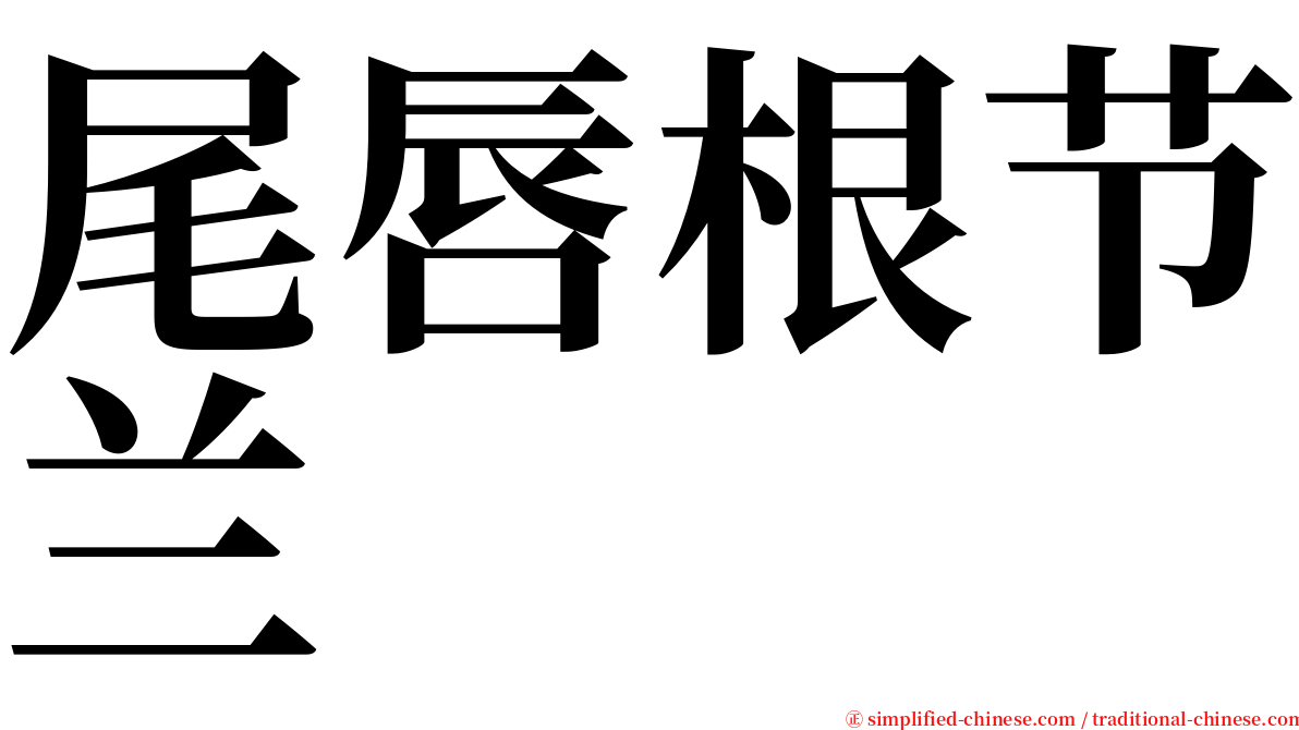 尾唇根节兰 serif font