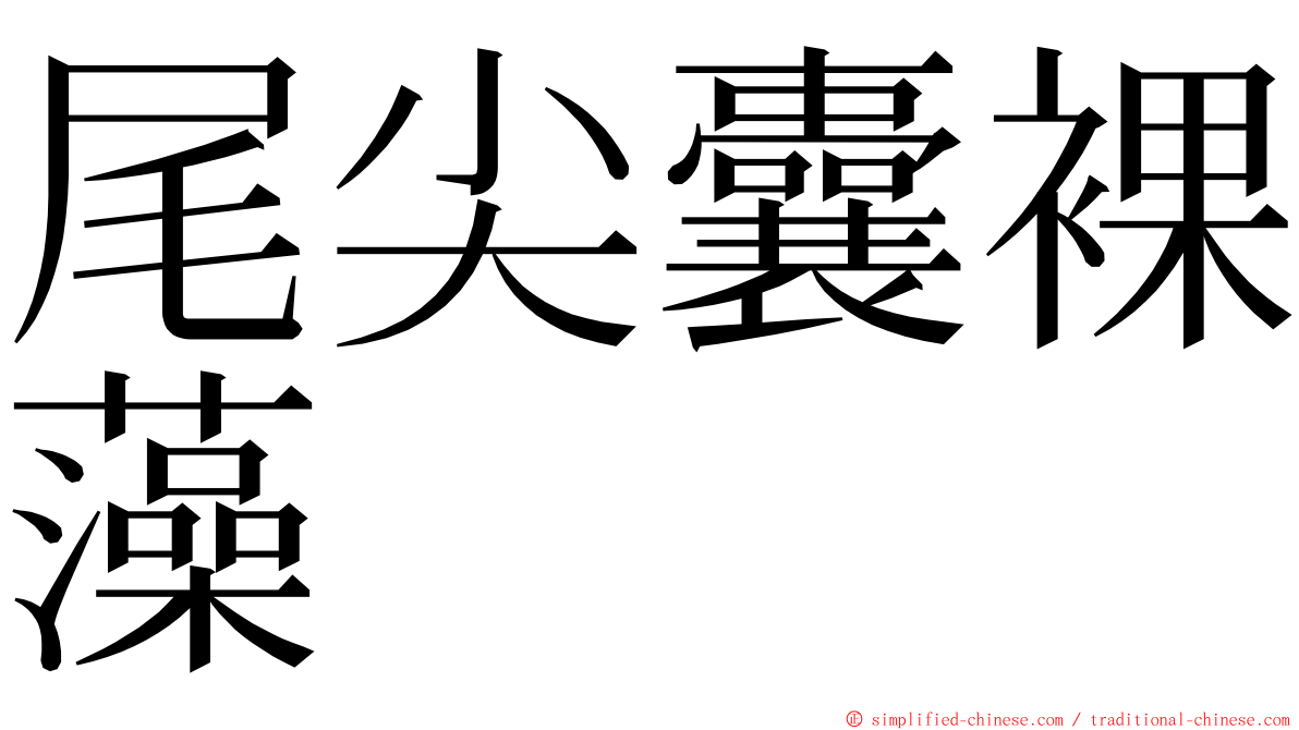 尾尖囊裸藻 ming font