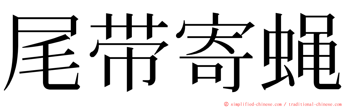 尾带寄蝇 ming font