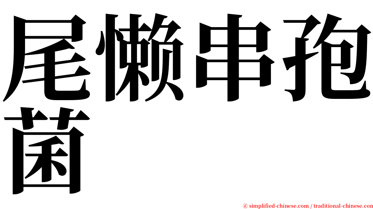 尾懒串孢菌 serif font