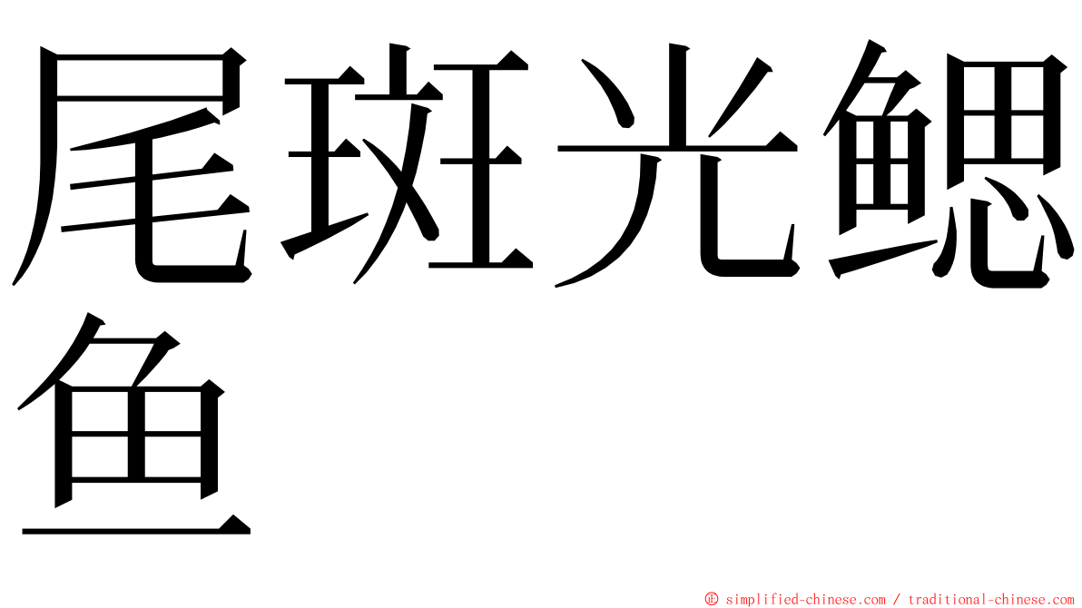 尾斑光鳃鱼 ming font