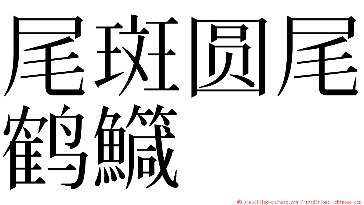 尾斑圆尾鹤鱵 ming font