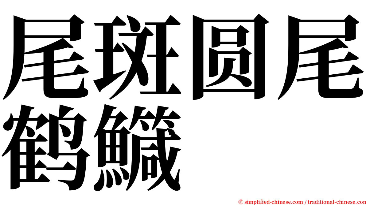 尾斑圆尾鹤鱵 serif font