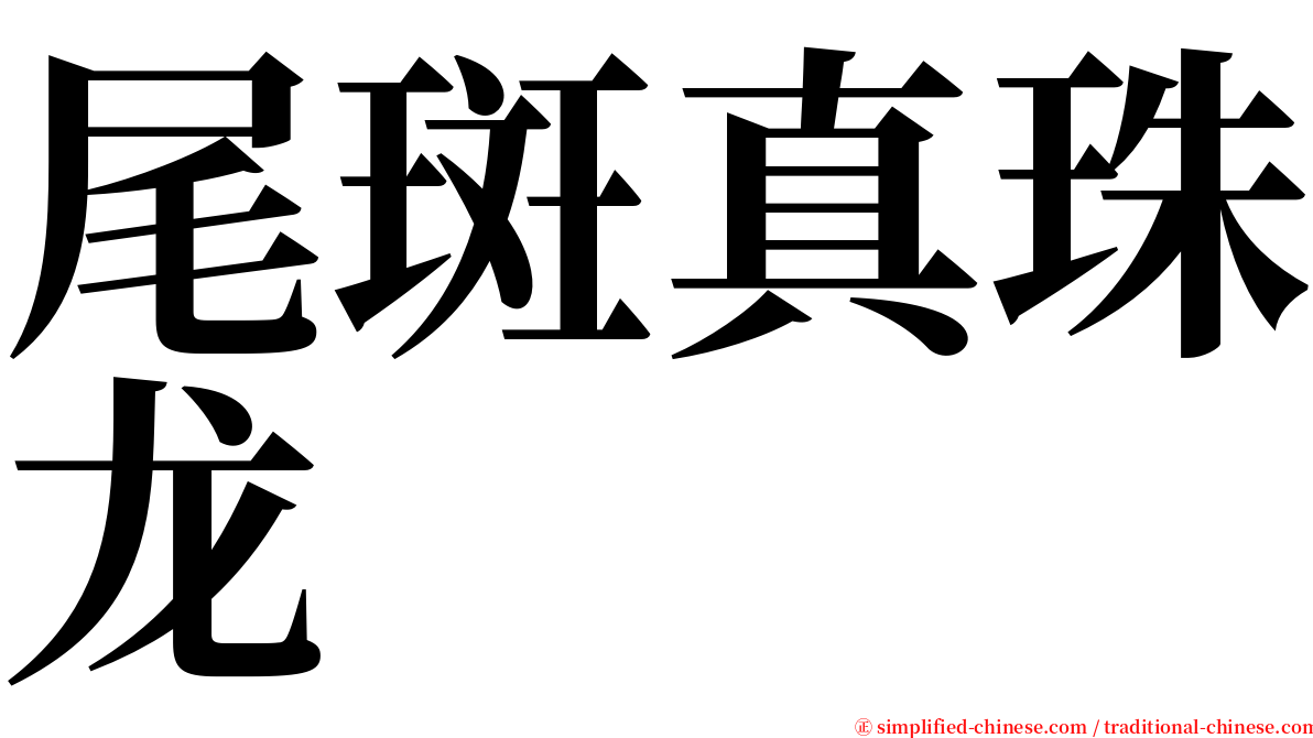 尾斑真珠龙 serif font