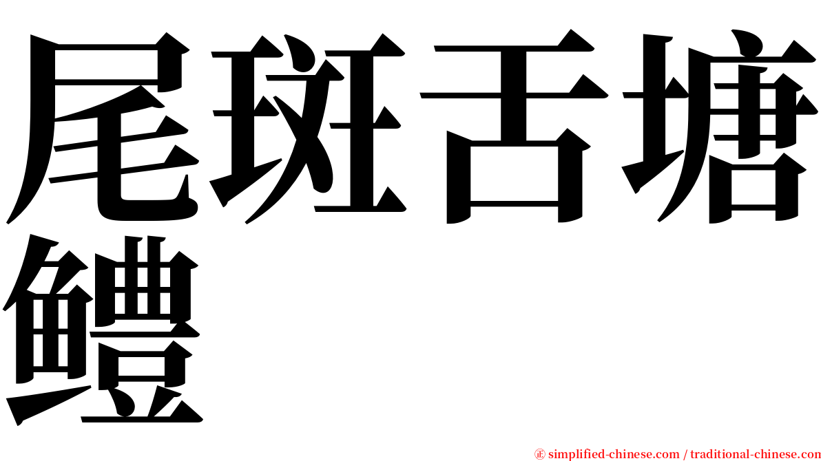 尾斑舌塘鳢 serif font