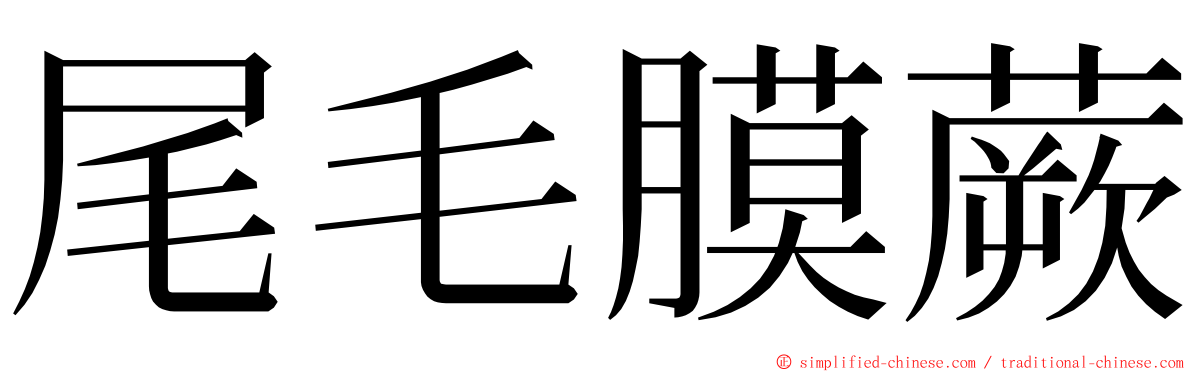 尾毛膜蕨 ming font