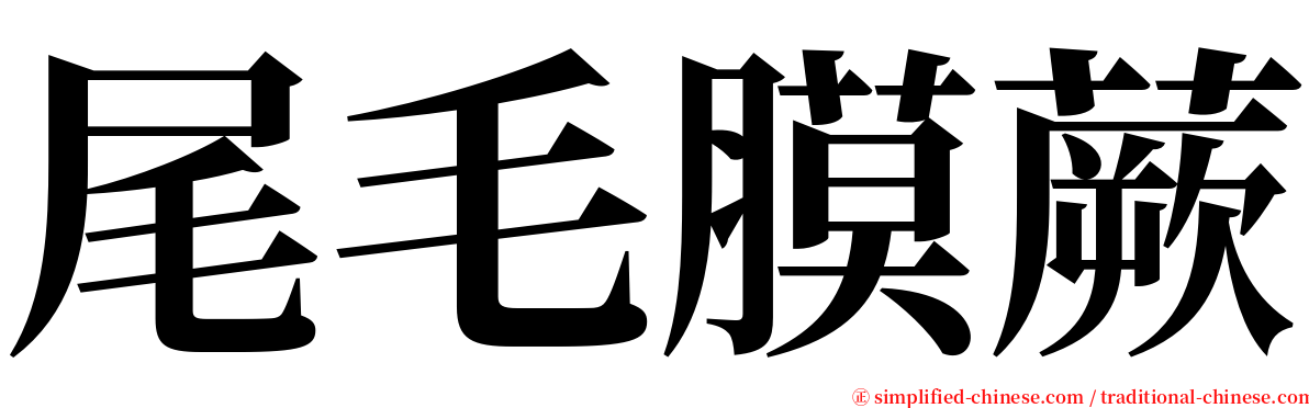 尾毛膜蕨 serif font