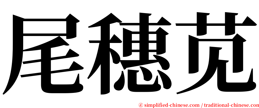 尾穗苋 serif font