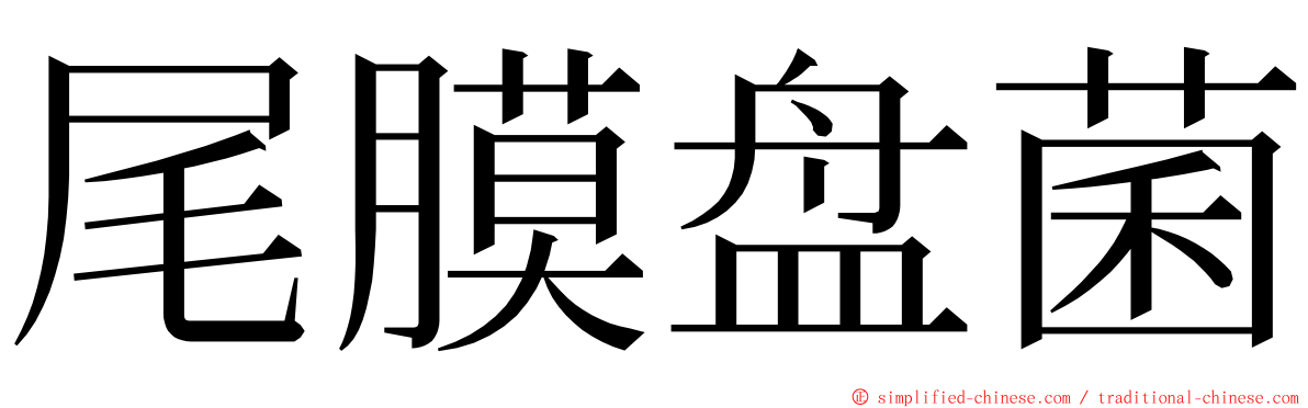 尾膜盘菌 ming font