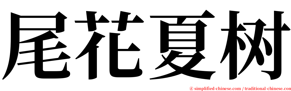 尾花夏树 serif font