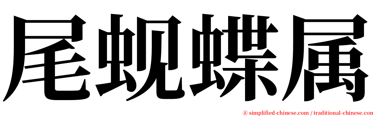 尾蚬蝶属 serif font