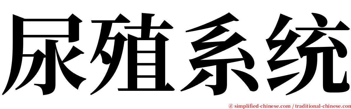 尿殖系统 serif font