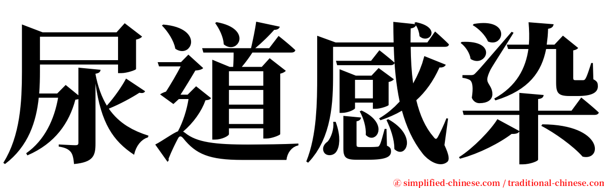 尿道感染 serif font