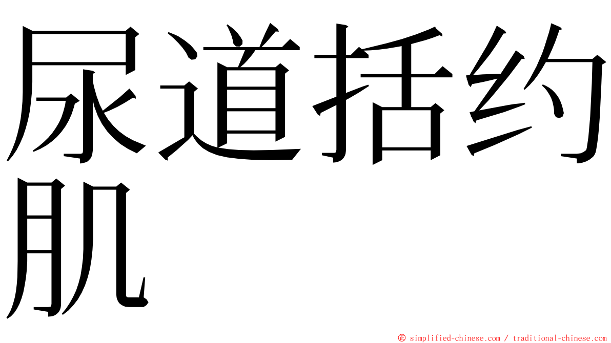 尿道括约肌 ming font