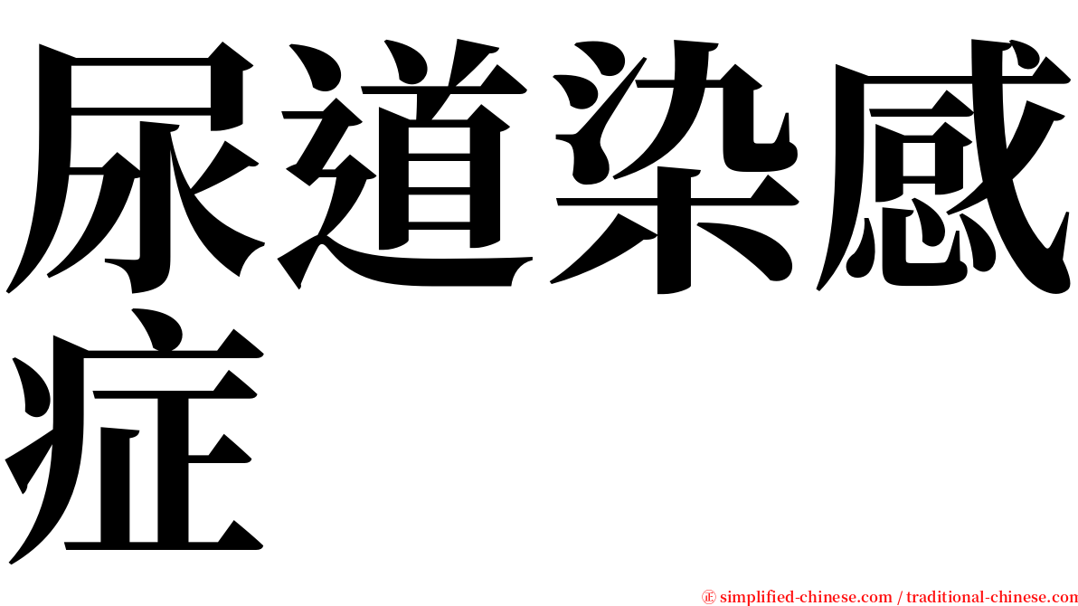 尿道染感症 serif font