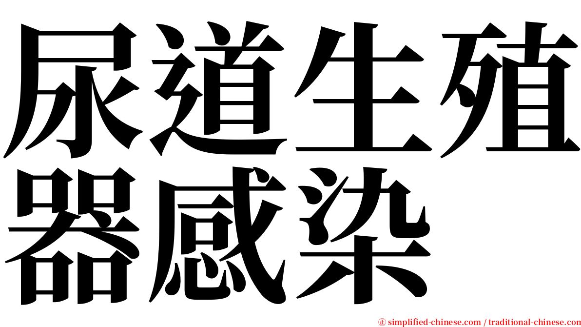 尿道生殖器感染 serif font