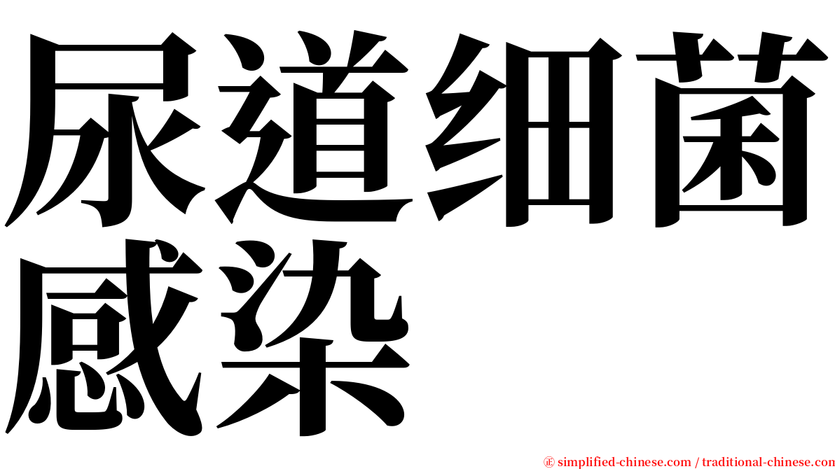 尿道细菌感染 serif font