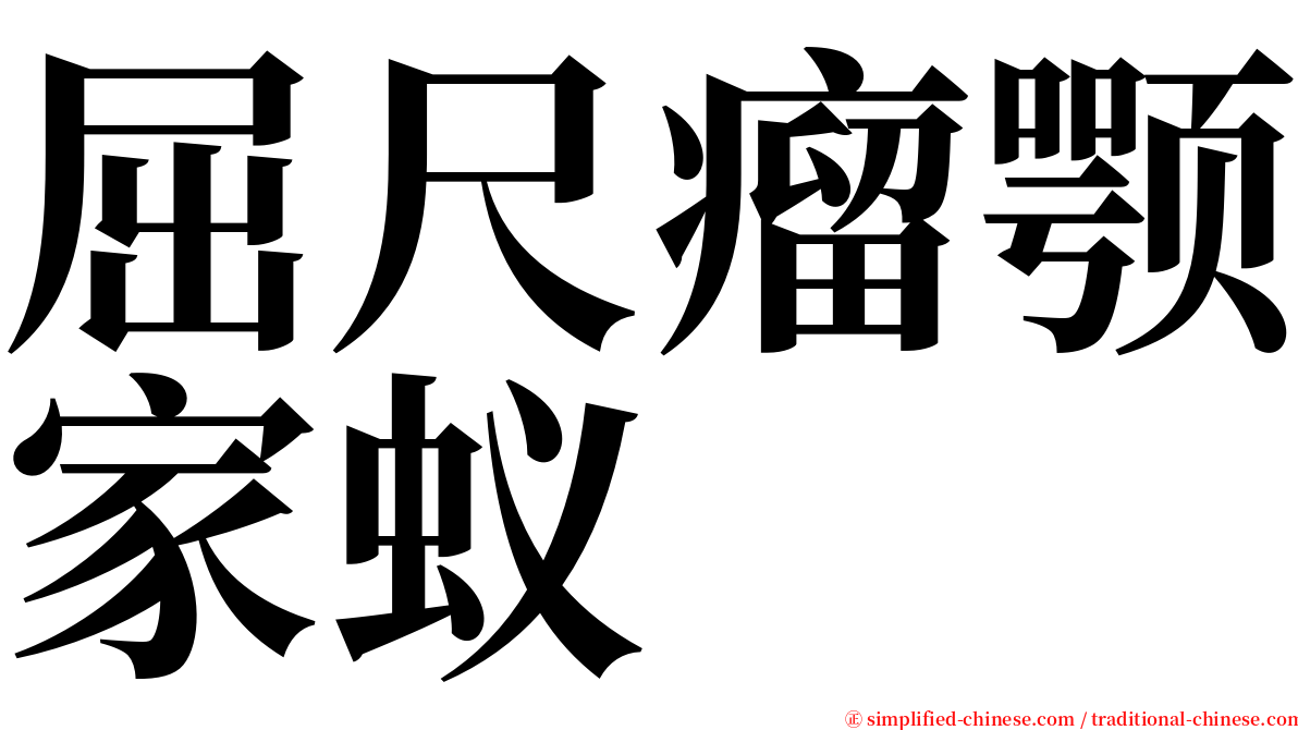 屈尺瘤颚家蚁 serif font