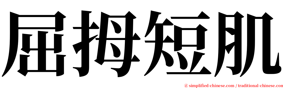 屈拇短肌 serif font