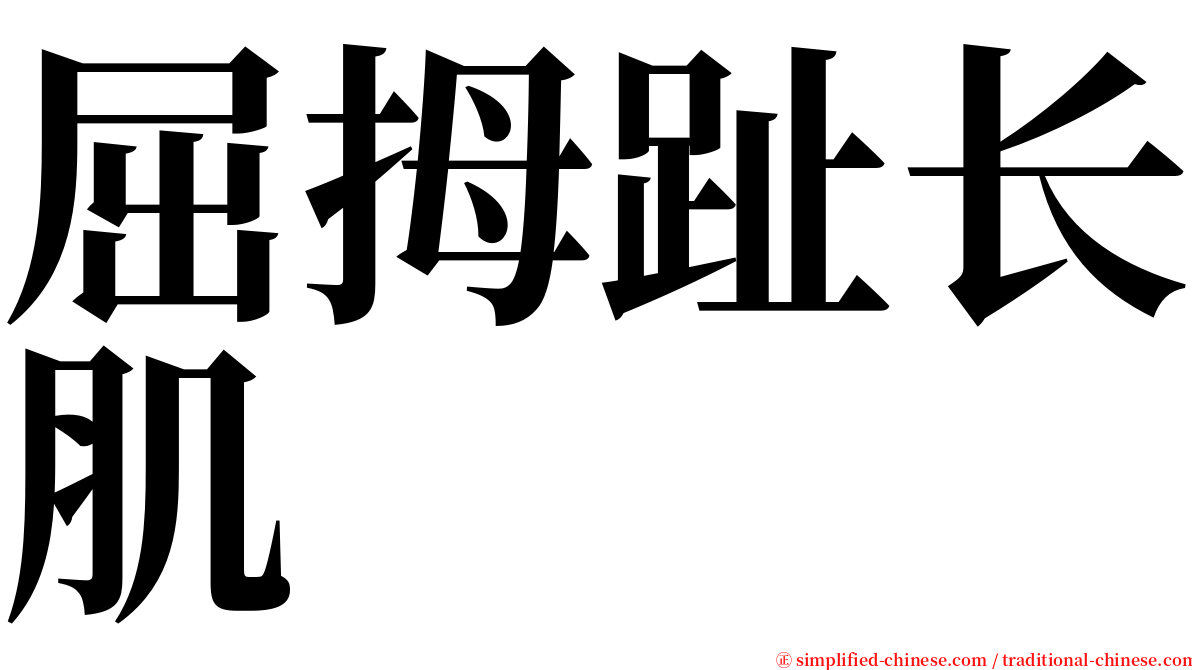 屈拇趾长肌 serif font