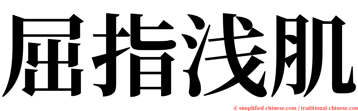 屈指浅肌 serif font