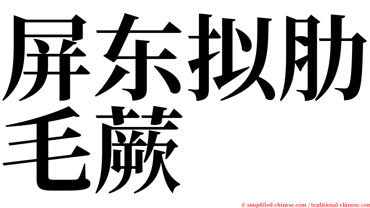 屏东拟肋毛蕨 serif font