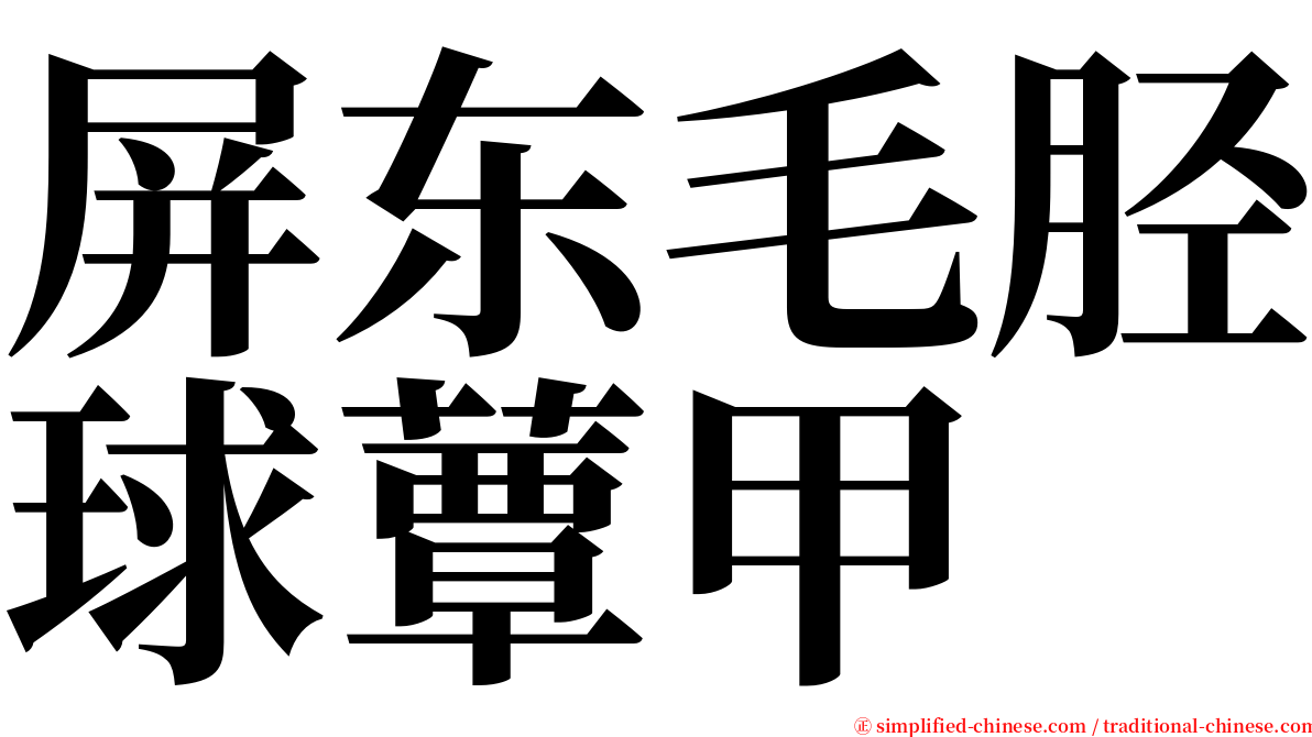 屏东毛胫球蕈甲 serif font