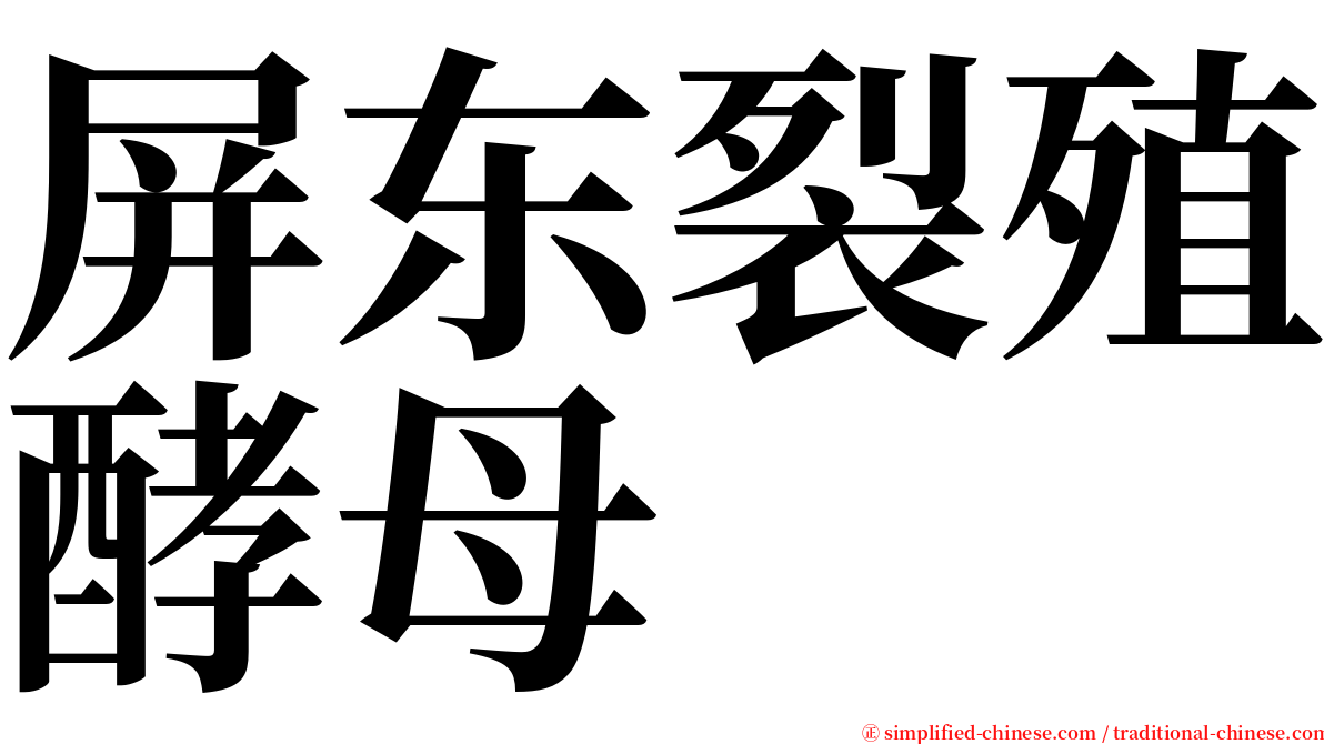 屏东裂殖酵母 serif font