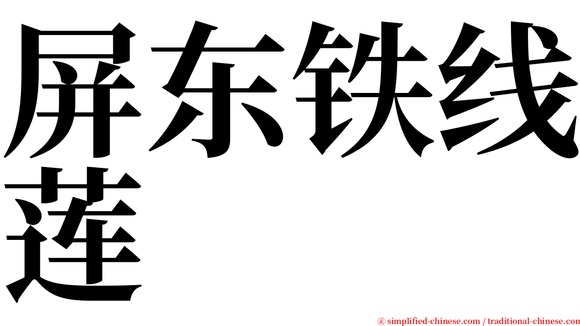 屏东铁线莲 serif font