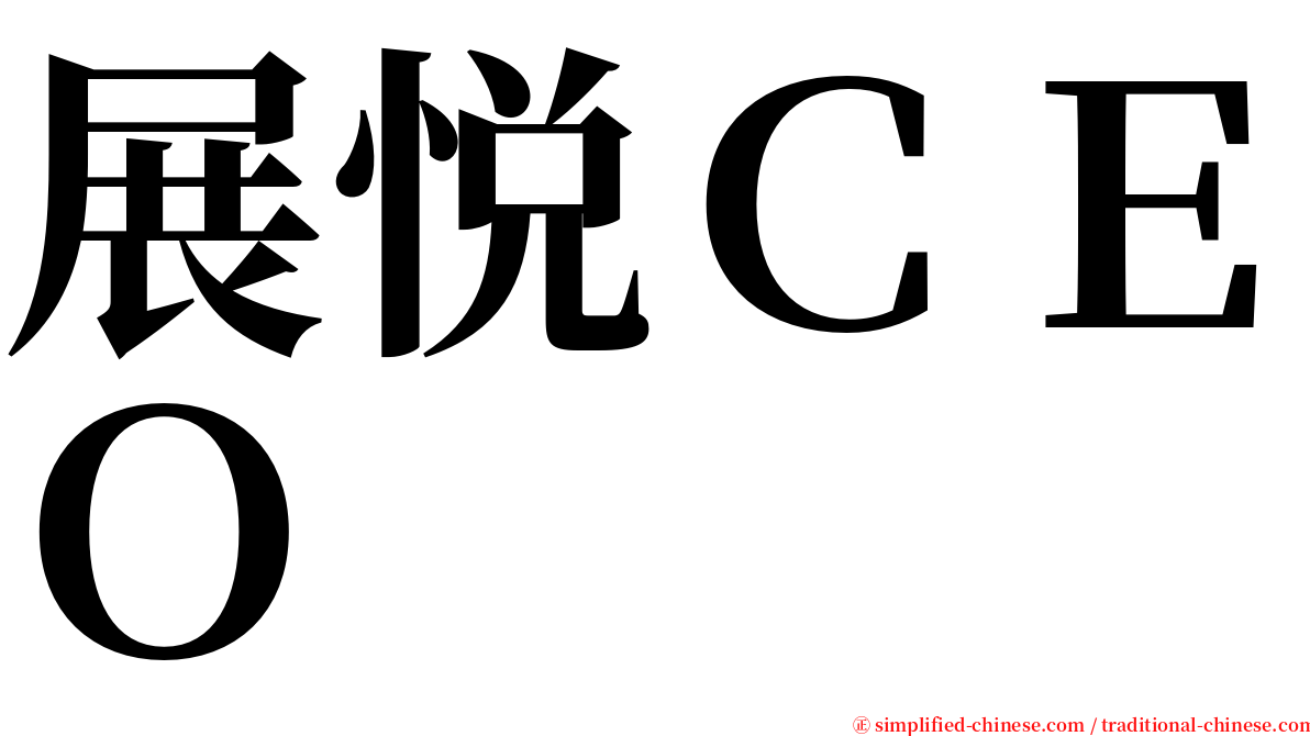 展悦ＣＥＯ serif font