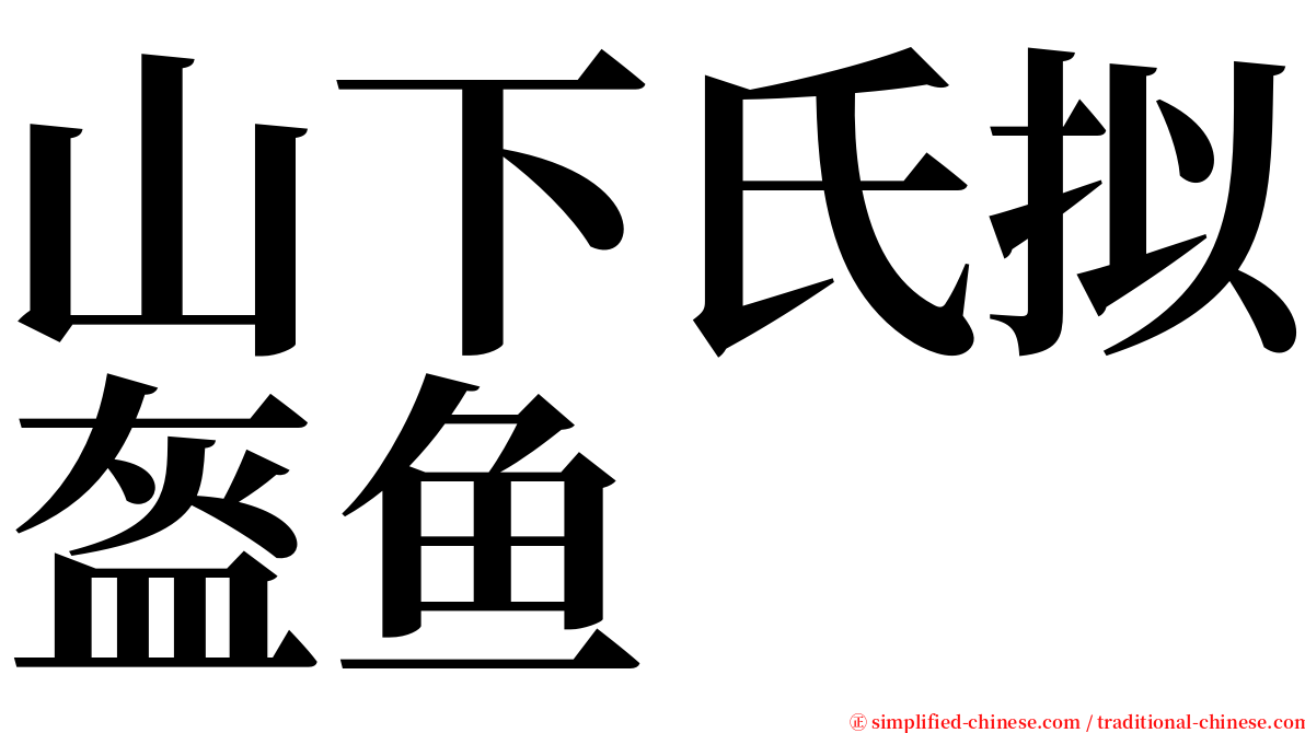 山下氏拟盔鱼 serif font