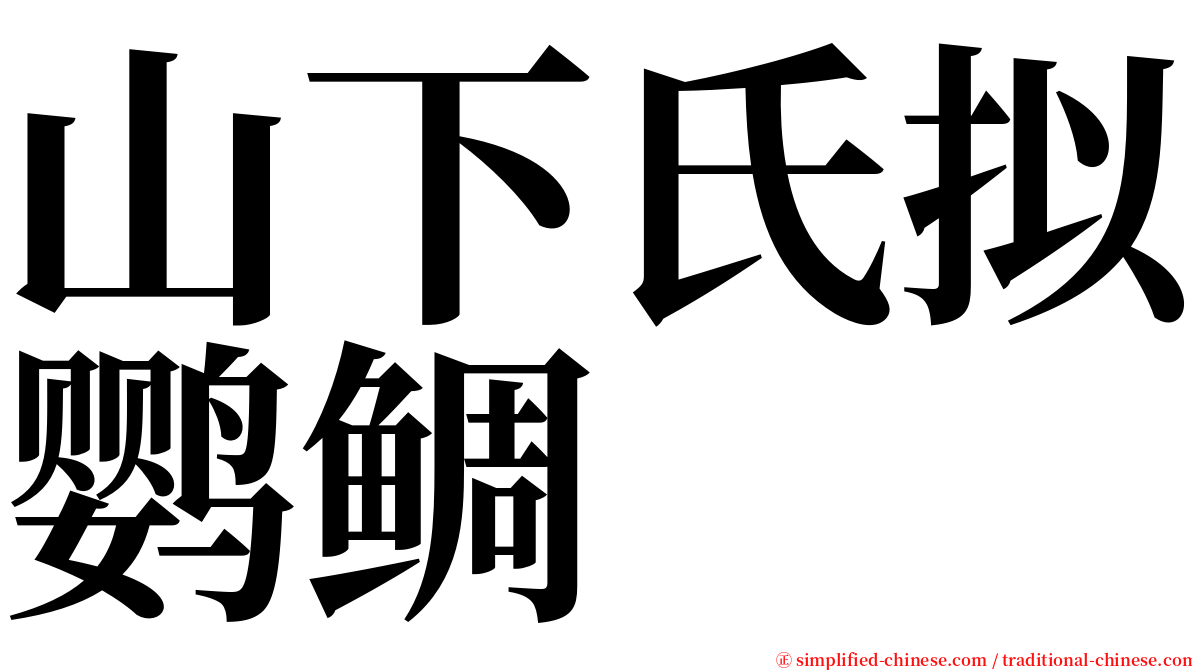 山下氏拟鹦鲷 serif font