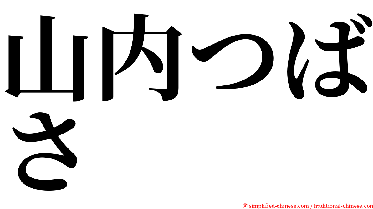 山内つばさ serif font