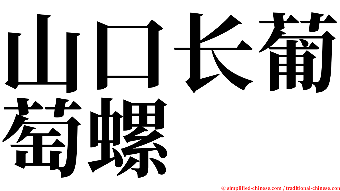 山口长葡萄螺 serif font