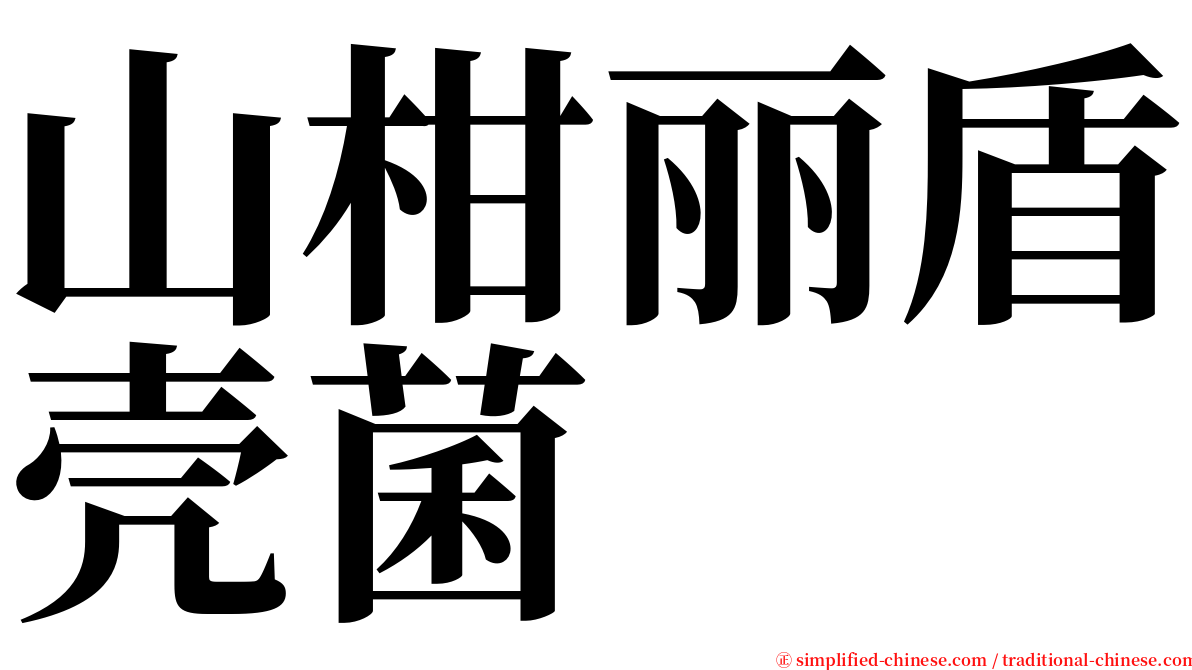 山柑丽盾壳菌 serif font