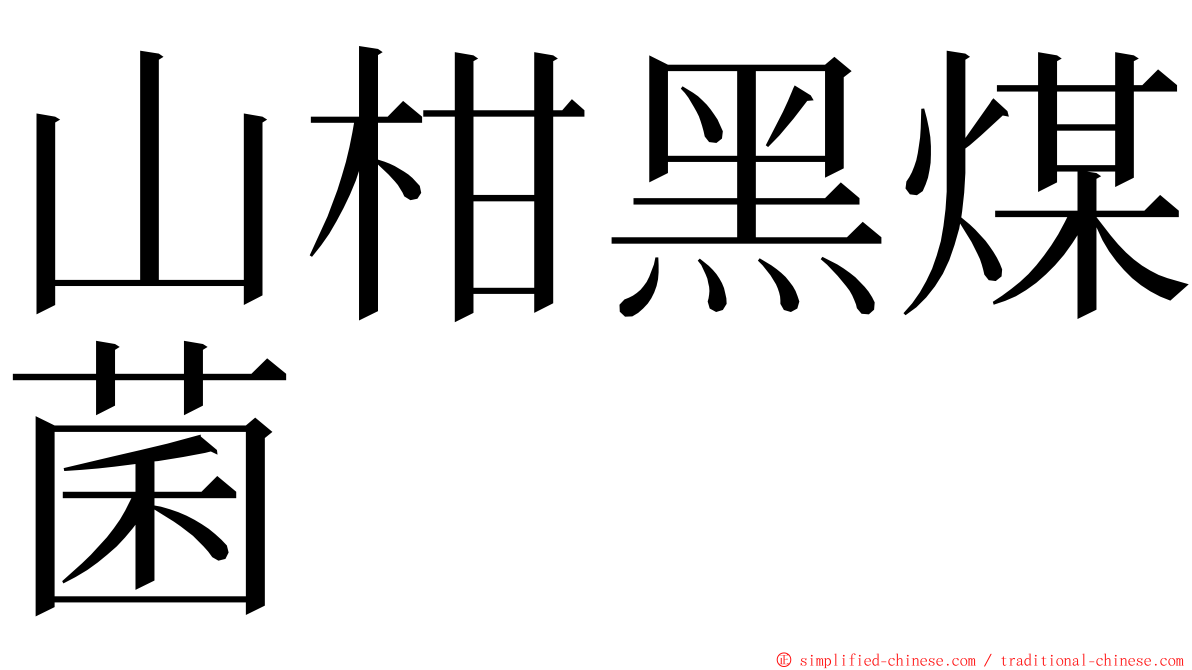 山柑黑煤菌 ming font
