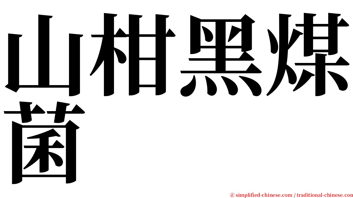 山柑黑煤菌 serif font