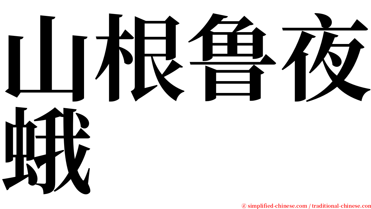 山根鲁夜蛾 serif font