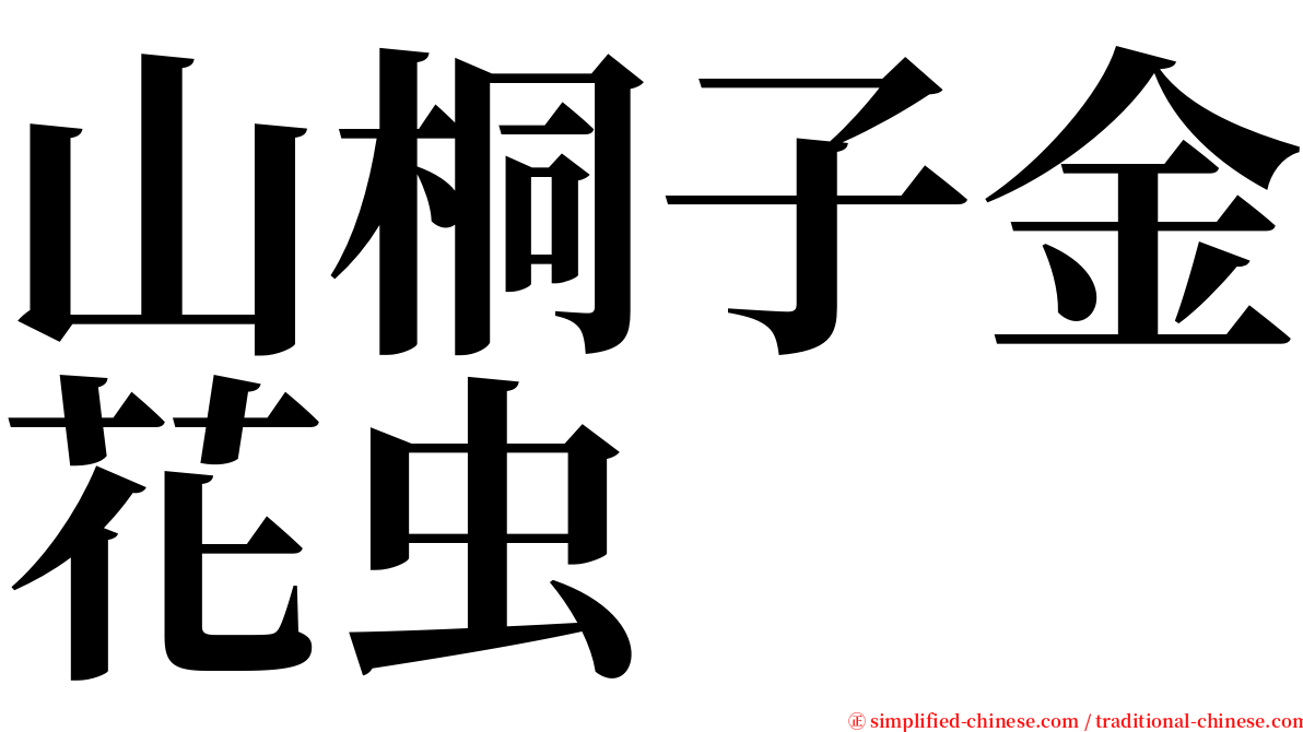 山桐子金花虫 serif font