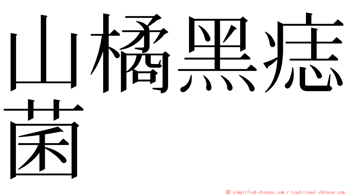 山橘黑痣菌 ming font