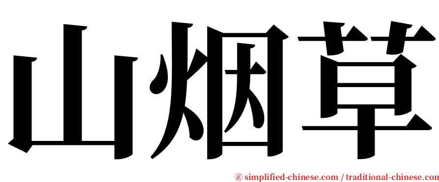 山烟草 serif font