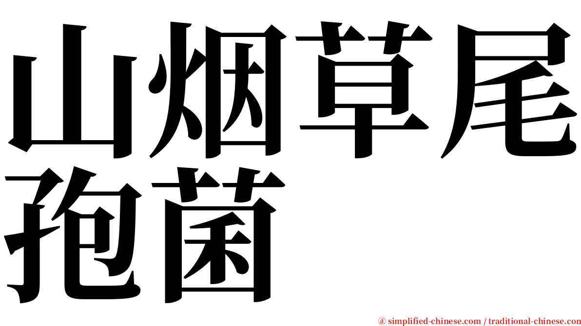 山烟草尾孢菌 serif font