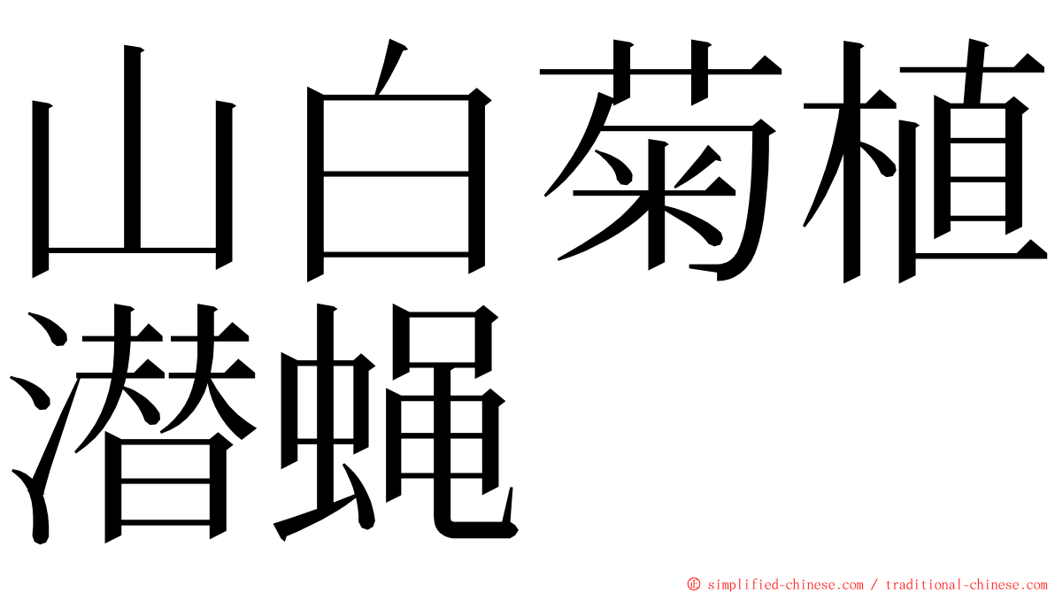 山白菊植潜蝇 ming font