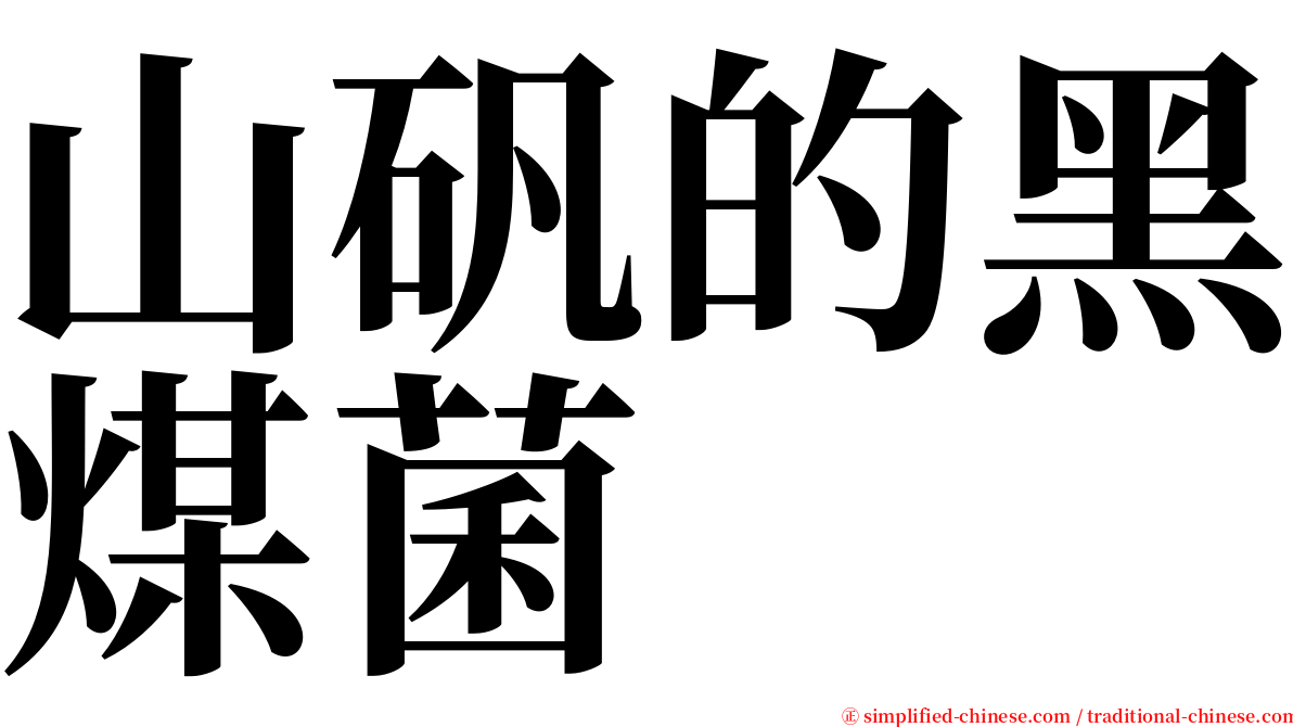 山矾的黑煤菌 serif font