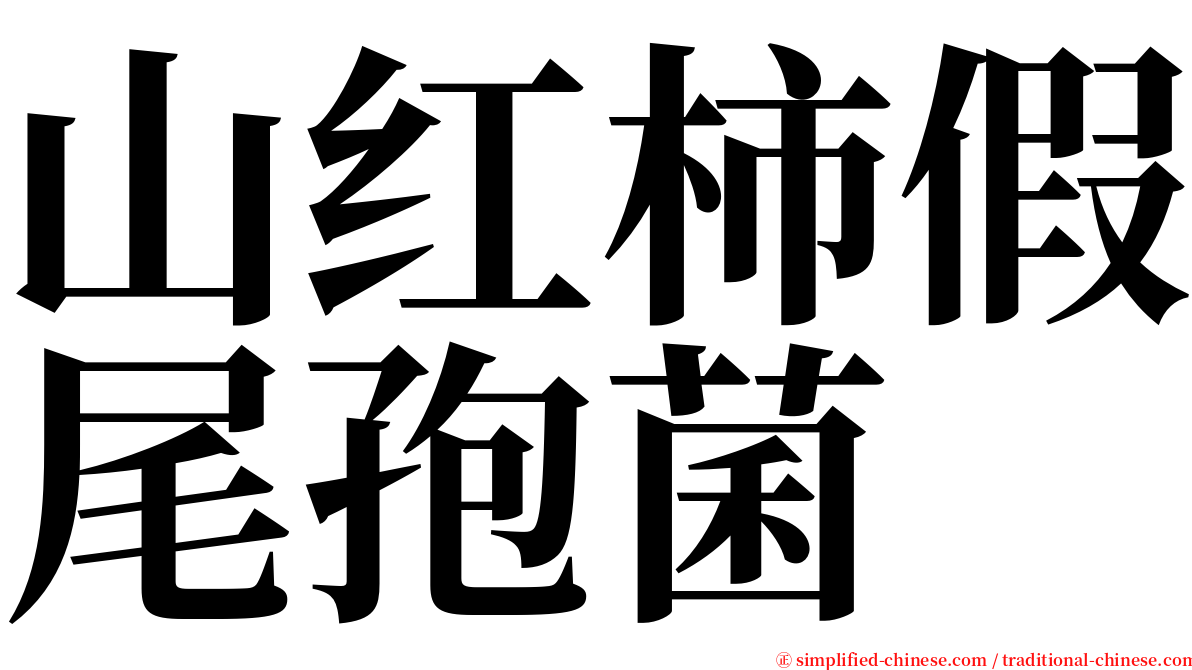 山红柿假尾孢菌 serif font