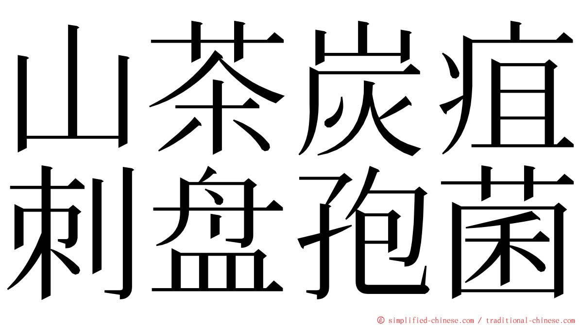 山茶炭疽刺盘孢菌 ming font