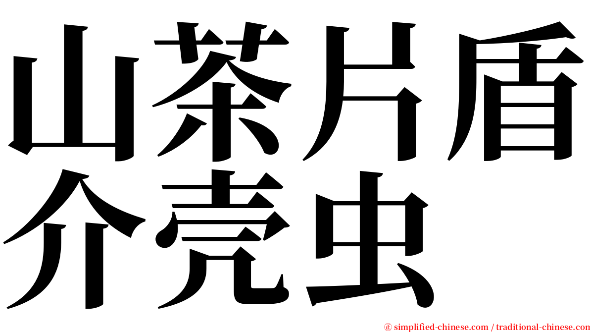 山茶片盾介壳虫 serif font