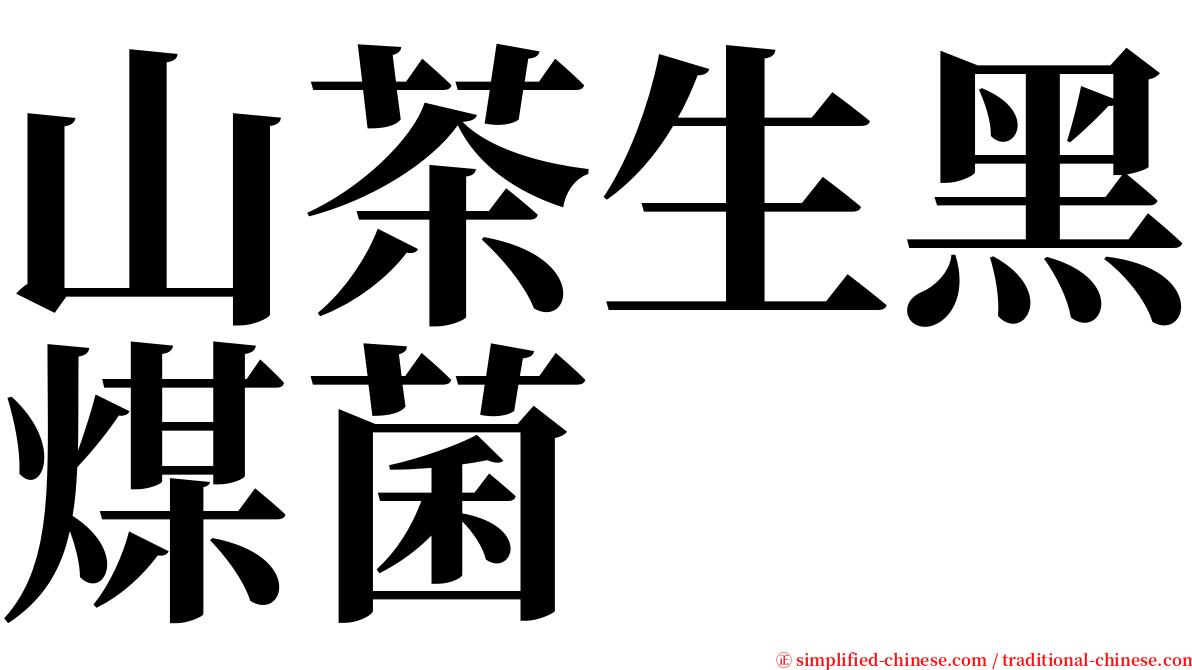 山茶生黑煤菌 serif font